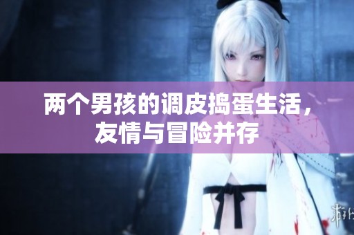 两个男孩的调皮捣蛋生活，友情与冒险并存