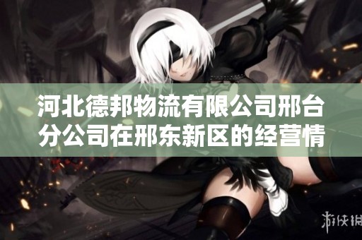 河北德邦物流有限公司邢台分公司在邢东新区的经营情况与市场分析