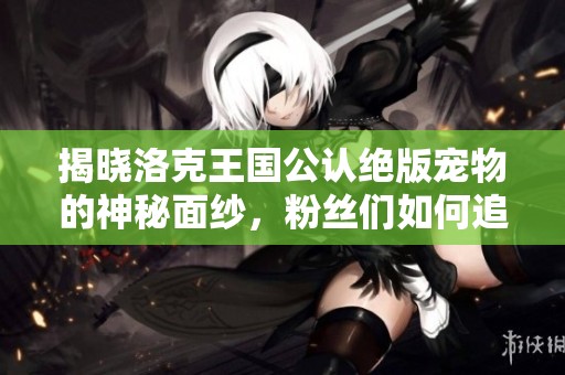 揭晓洛克王国公认绝版宠物的神秘面纱，粉丝们如何追逐这些独特珍稀角色