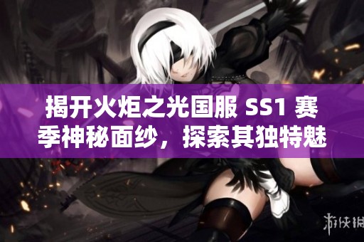 揭开火炬之光国服 SS1 赛季神秘面纱，探索其独特魅力与精彩内容