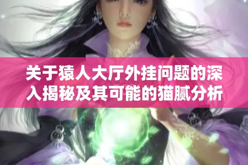 关于猿人大厅外挂问题的深入揭秘及其可能的猫腻分析，了解游戏公正性挑战