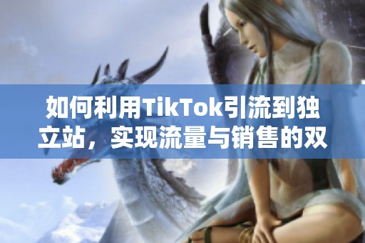 如何利用TikTok引流到独立站，实现流量与销售的双增长