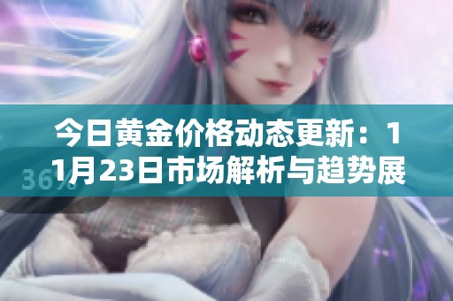 今日黄金价格动态更新：11月23日市场解析与趋势展望