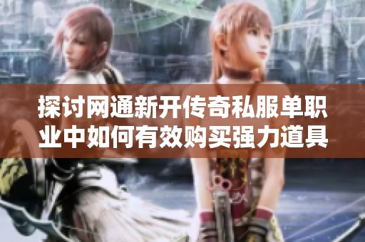 探讨网通新开传奇私服单职业中如何有效购买强力道具技巧与策略