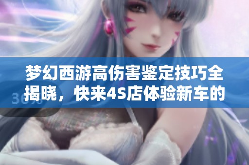 梦幻西游高伤害鉴定技巧全揭晓，快来4S店体验新车的魅力吧！