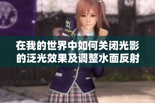 在我的世界中如何关闭光影的泛光效果及调整水面反射设置指南