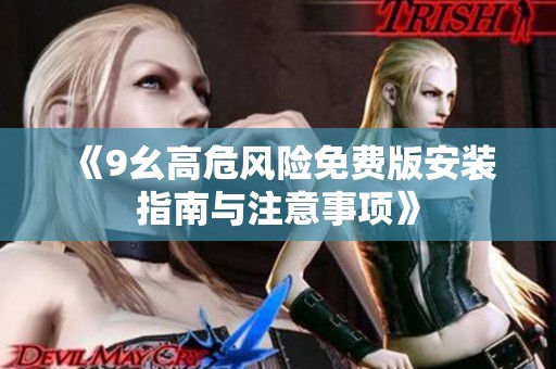 《9幺高危风险免费版安装指南与注意事项》