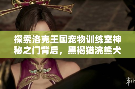 探索洛克王国宠物训练室神秘之门背后，黑褐猎浣熊犬的训练秘籍大揭秘