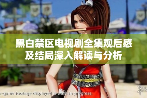 黑白禁区电视剧全集观后感及结局深入解读与分析