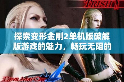 探索变形金刚2单机版破解版游戏的魅力，畅玩无阻的激烈战斗体验尽在手游城！