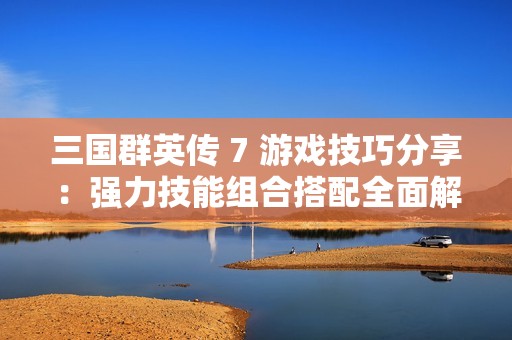 三国群英传 7 游戏技巧分享：强力技能组合搭配全面解析与攻略