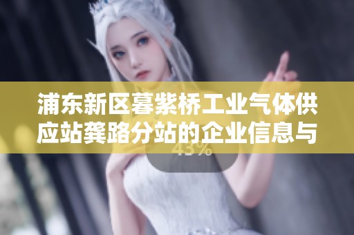 浦东新区暮紫桥工业气体供应站龚路分站的企业信息与发展动态分析