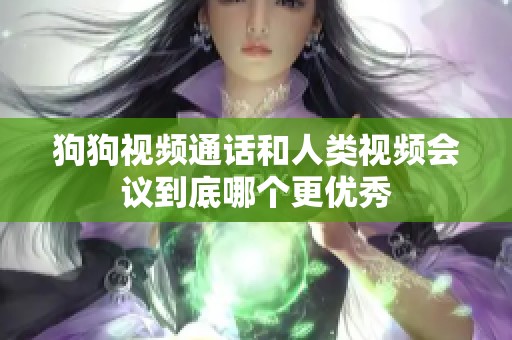 狗狗视频通话和人类视频会议到底哪个更优秀