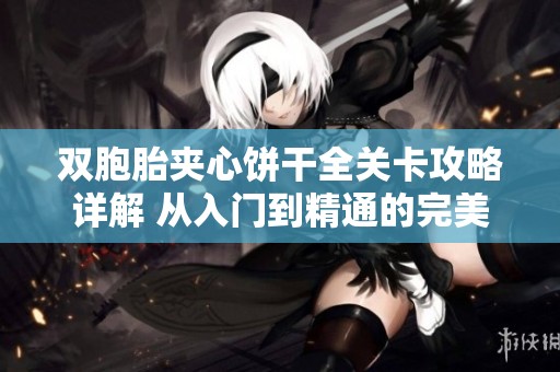 双胞胎夹心饼干全关卡攻略详解 从入门到精通的完美指南