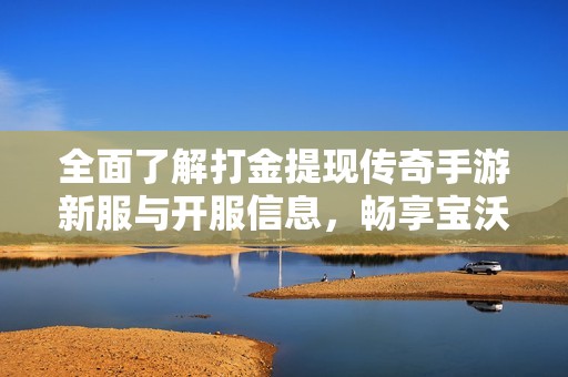 全面了解打金提现传奇手游新服与开服信息，畅享宝沃搜服网的最新动态分享