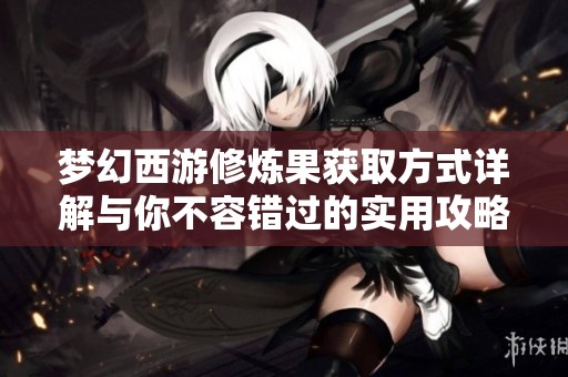 梦幻西游修炼果获取方式详解与你不容错过的实用攻略