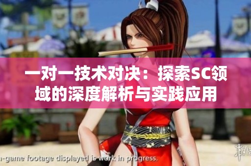一对一技术对决：探索SC领域的深度解析与实践应用