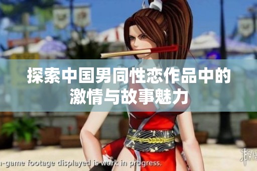 探索中国男同性恋作品中的激情与故事魅力