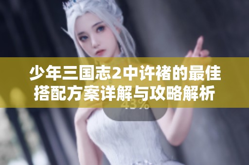 少年三国志2中许褚的最佳搭配方案详解与攻略解析