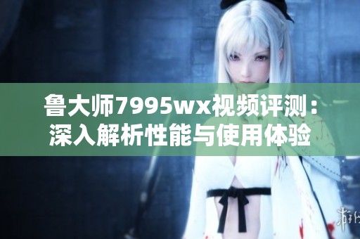鲁大师7995wx视频评测：深入解析性能与使用体验