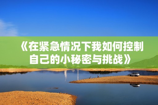 《在紧急情况下我如何控制自己的小秘密与挑战》