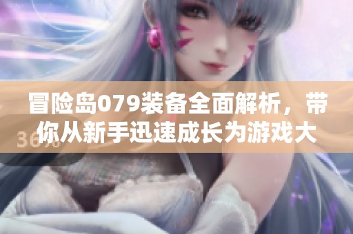 冒险岛079装备全面解析，带你从新手迅速成长为游戏大佬