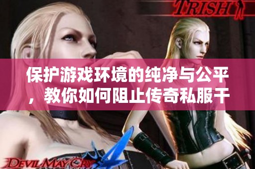 保护游戏环境的纯净与公平，教你如何阻止传奇私服干扰