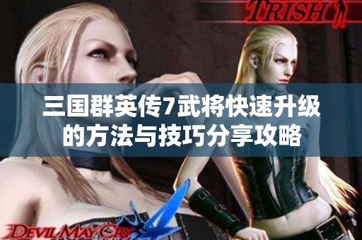 三国群英传7武将快速升级的方法与技巧分享攻略