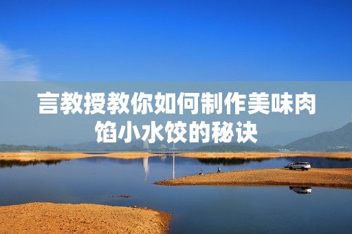 言教授教你如何制作美味肉馅小水饺的秘诀