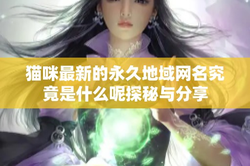 猫咪最新的永久地域网名究竟是什么呢探秘与分享