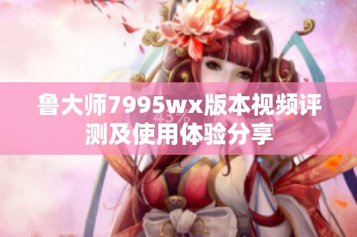 鲁大师7995wx版本视频评测及使用体验分享