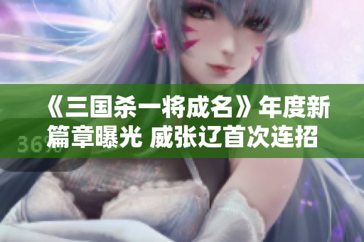 《三国杀一将成名》年度新篇章曝光 威张辽首次连招技亮相