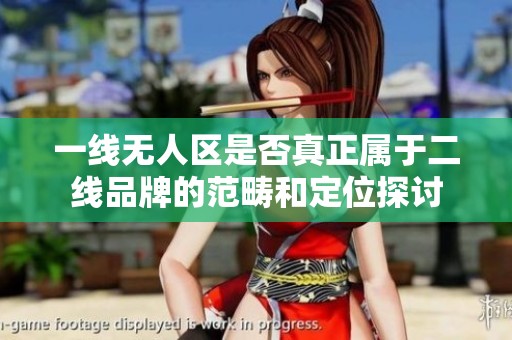 一线无人区是否真正属于二线品牌的范畴和定位探讨
