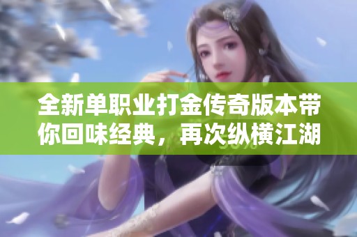 全新单职业打金传奇版本带你回味经典，再次纵横江湖的震撼体验