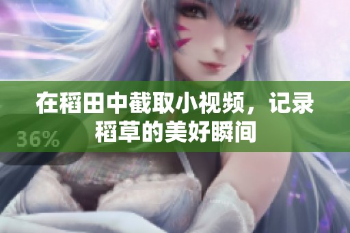 在稻田中截取小视频，记录稻草的美好瞬间