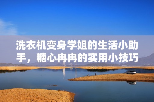 洗衣机变身学姐的生活小助手，糖心冉冉的实用小技巧分享