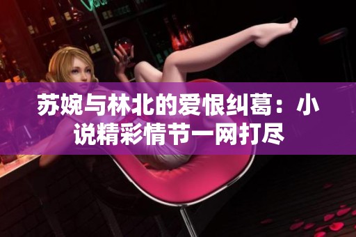 苏婉与林北的爱恨纠葛：小说精彩情节一网打尽