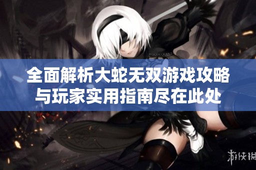 全面解析大蛇无双游戏攻略与玩家实用指南尽在此处