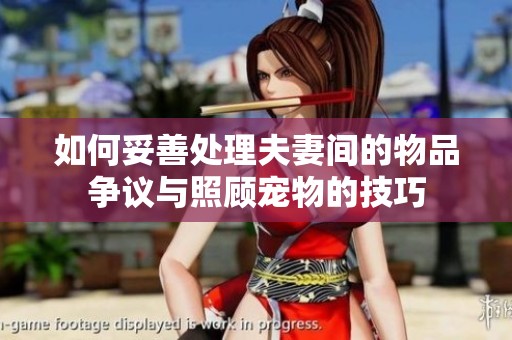 如何妥善处理夫妻间的物品争议与照顾宠物的技巧