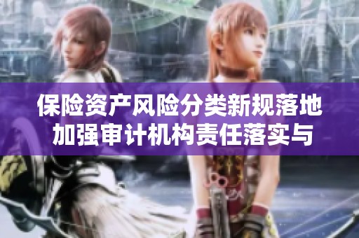 保险资产风险分类新规落地 加强审计机构责任落实与监督