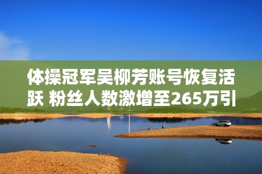 体操冠军吴柳芳账号恢复活跃 粉丝人数激增至265万引热议