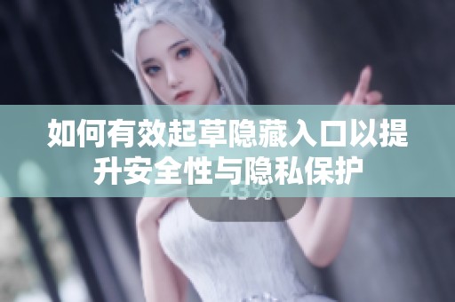 如何有效起草隐藏入口以提升安全性与隐私保护
