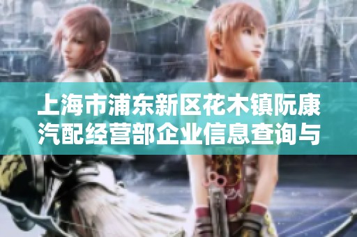 上海市浦东新区花木镇阮康汽配经营部企业信息查询与分析