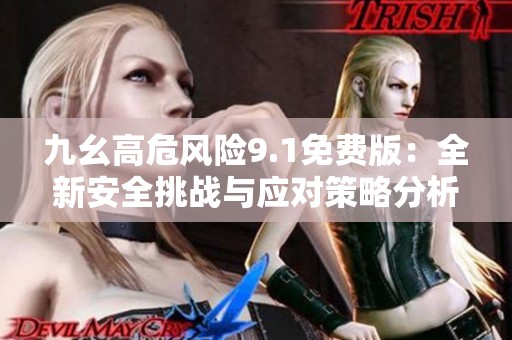九幺高危风险9.1免费版：全新安全挑战与应对策略分析
