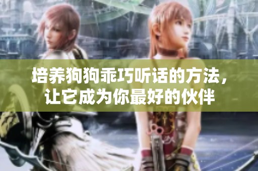 培养狗狗乖巧听话的方法，让它成为你最好的伙伴