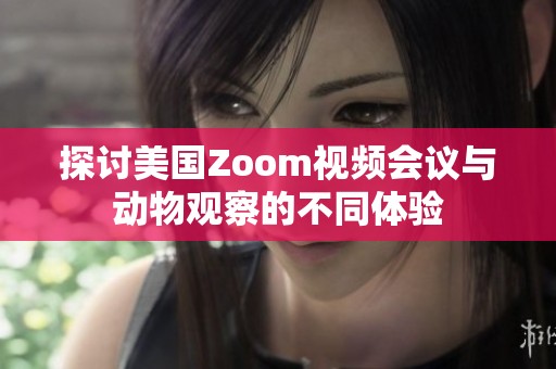 探讨美国Zoom视频会议与动物观察的不同体验