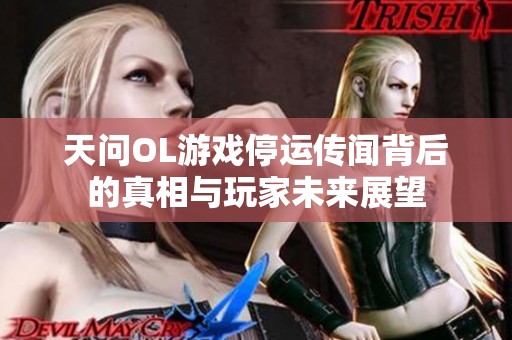 天问OL游戏停运传闻背后的真相与玩家未来展望