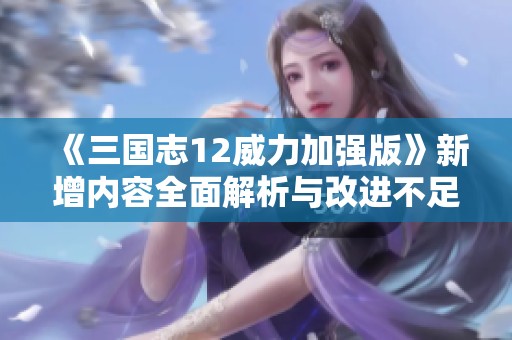 《三国志12威力加强版》新增内容全面解析与改进不足之处探讨