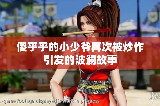 傻乎乎的小少爷再次被炒作引发的波澜故事