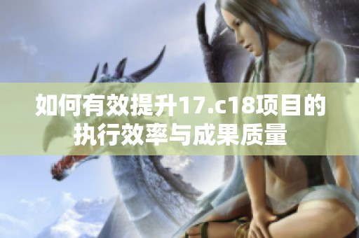 如何有效提升17.c18项目的执行效率与成果质量